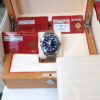 Omega Seamaster Planet Ocean