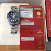 Omega Seamaster Planet Ocean