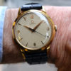 Omega nid d'abeille or jaune 36mm Circa 1952